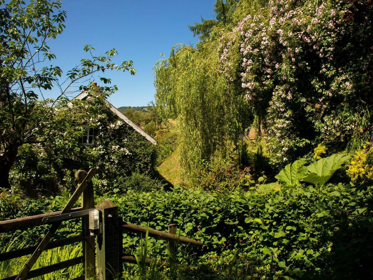 Dolgenau Cottages Trefeglwys Esterno foto