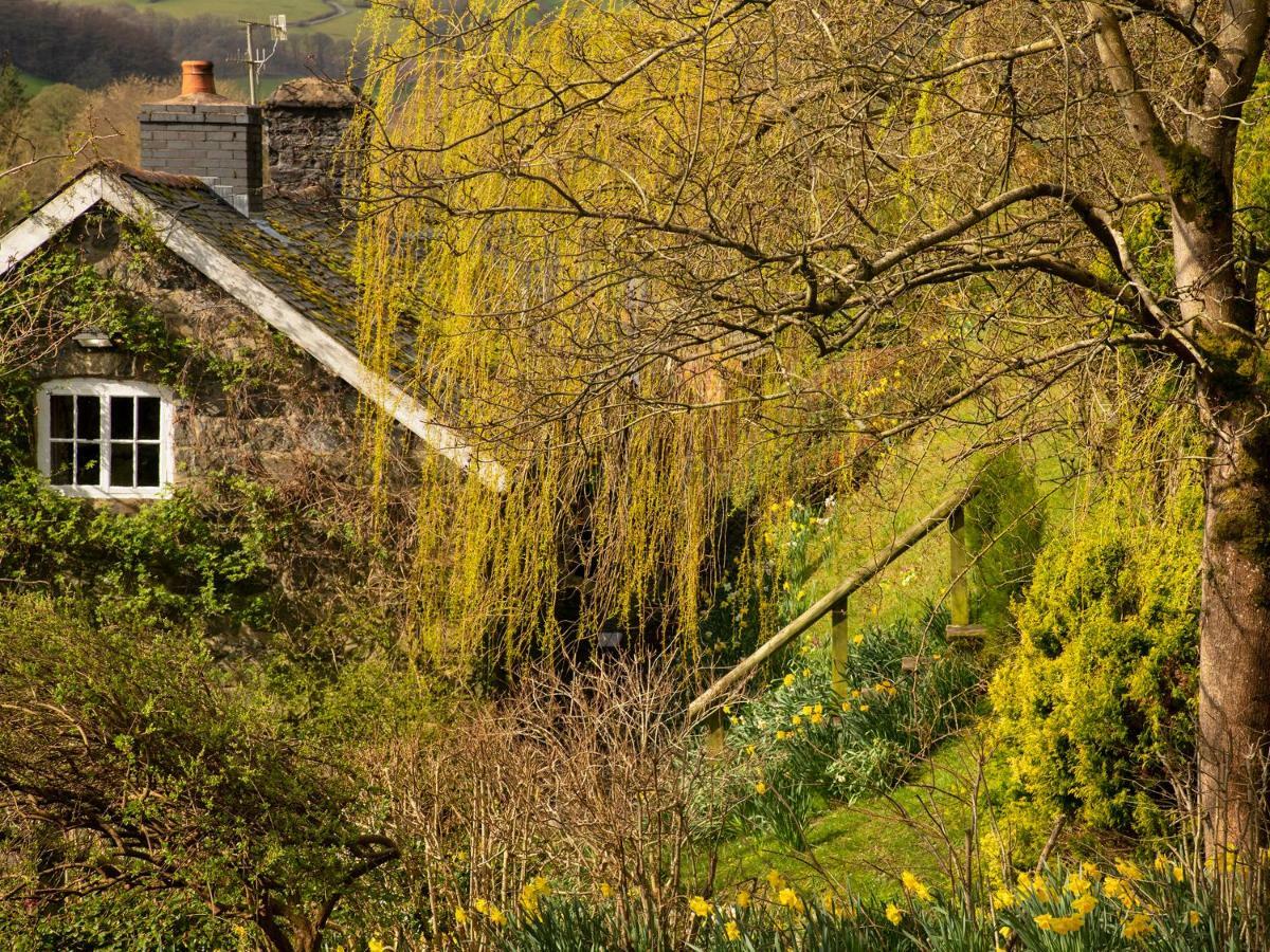 Dolgenau Cottages Trefeglwys Esterno foto